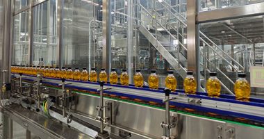 Galloping Together with “War Horse”